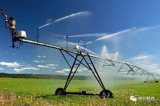 農業致富十大 黃金法則