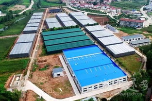 遠安鄉(xiāng)村 看 顏值 更看 氣質(zhì)