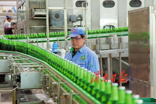 打造農(nóng)產(chǎn)品加工產(chǎn)業(yè)新地標 渭南經(jīng)開區(qū)傾力推進農(nóng)業(yè)產(chǎn)業(yè)高質(zhì)量發(fā)展