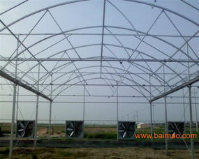 雙層充氣膜溫室有什么優(yōu)點 山東潤澤建設(shè), 雙層充氣膜溫室有什么優(yōu)點 山東潤澤建設(shè)生產(chǎn)廠家, 雙層充氣膜溫室有什么優(yōu)點