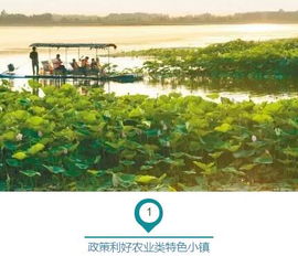 行業淺析︱農業特色小鎮的內涵