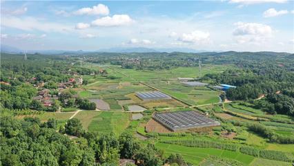 【永州市】這里種菜有"講究"--永州市冷水灘區永益農業開發蔬菜基地見聞