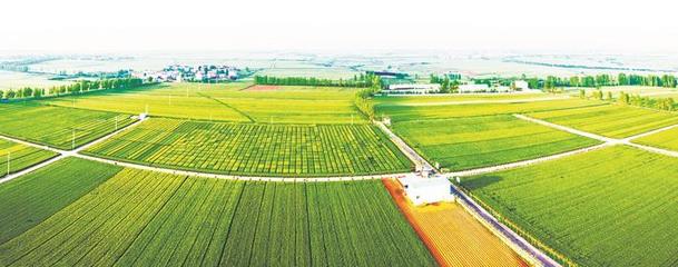 鳳鳴襄州 邁向農業新高地