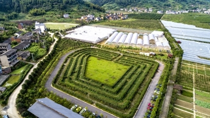 認養農業app模式定制開發 認養農業發展方案