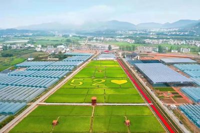 喜報(bào)!于都這項(xiàng)成績蟬聯(lián)第一!