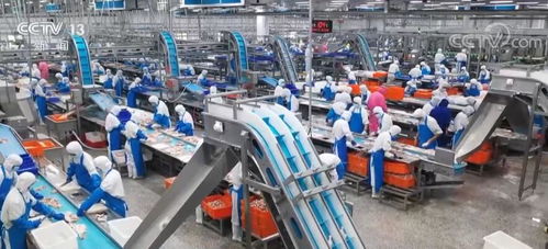 走進縣城看發展 山東農業大縣諸城食品產業總產值超400億元