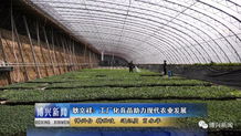 耿文祥 工廠化育苗 助力現代農業發展