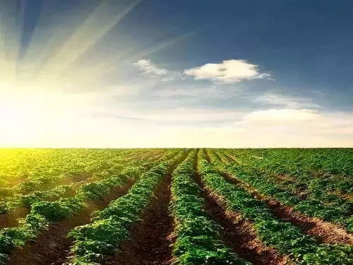 農(nóng)業(yè)為國之根本 未來農(nóng)業(yè)開發(fā)的小趨勢