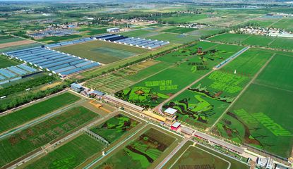 銀川農業(yè)開發(fā)新篇章 創(chuàng)新驅動與可持續(xù)發(fā)展并進