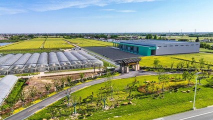 鹽城市農業(yè)農村局 豐盈四倉——江蘇省鄉(xiāng)村振興示范村的農業(yè)開發(fā)實踐