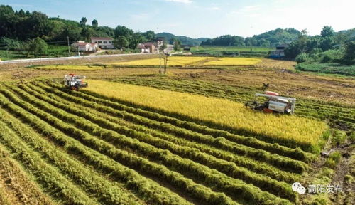 農業(yè)強 農村美 農民富 這樣的鄉(xiāng)村你愛了嗎