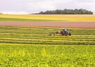 農業部發文推進農業開發，五大領域將獲政策紅利