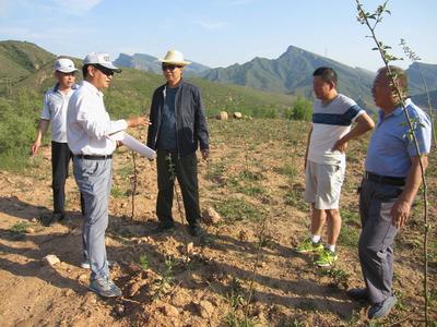 河北井陘開展農(nóng)業(yè)專項(xiàng)資金審計(jì)，助力農(nóng)業(yè)開發(fā)提質(zhì)增效