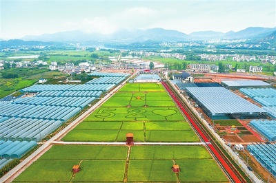 江西贛州 深耕富硒沃土，繪就現(xiàn)代農(nóng)業(yè)新圖景