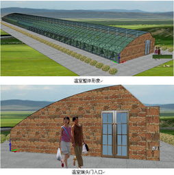 490平方米日光溫室型霧培蔬菜與芽苗菜工廠化生產(chǎn)設(shè)計(jì)方案